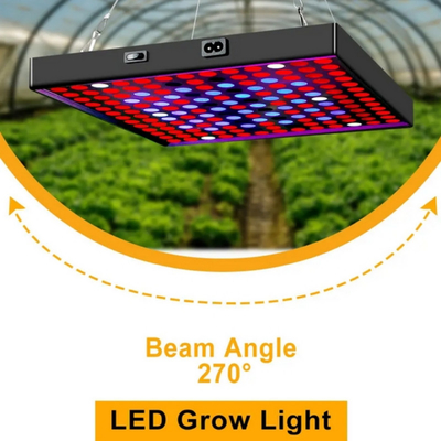 LED Tam Spektrum Bitki Büyüme Işığı 50w 80W Yeşil Ev için Kırmızı Mavi Işık