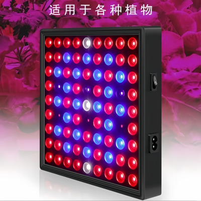 LED Tam Spektrum Bitki Büyüme Işığı 50w 80W Yeşil Ev için Kırmızı Mavi Işık