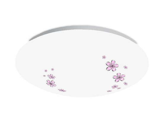 PMMA Yuvarlak Daire Tavana Monte LED Işıklar 18 Watt AC175-265V AN-XD-JY-18-01
